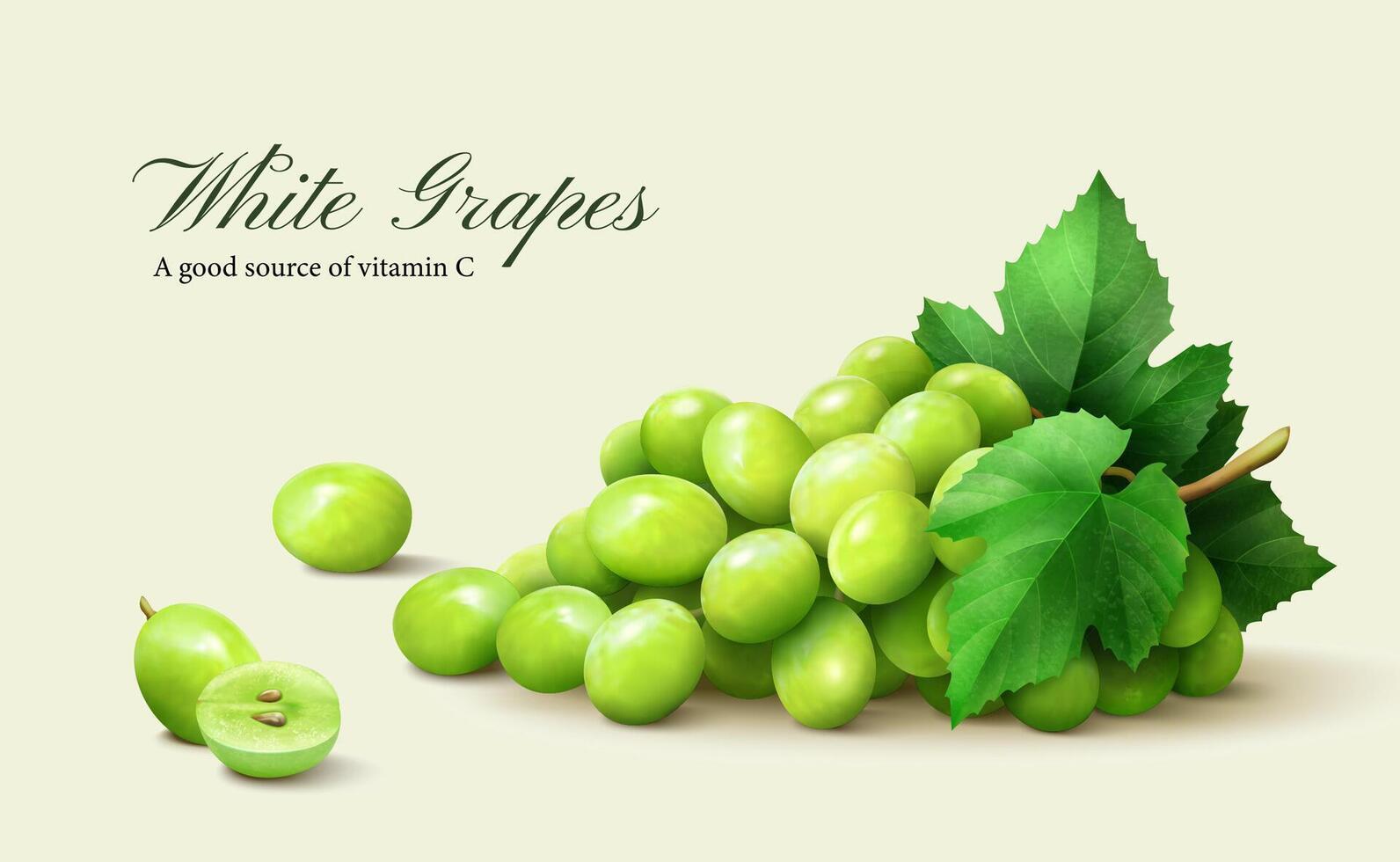 3d illustration of fresh white grapes with green leaves isolated on beige background. vector