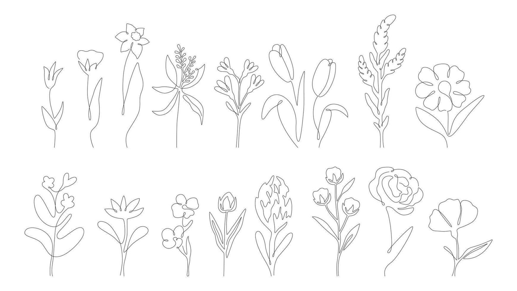 Line art wild flowers collection vector