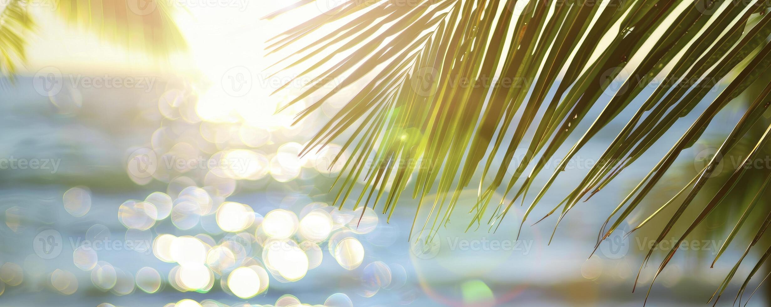 Beautifully blurred green palm leaf on a tropical beach with an abstract background of sun light waves. photo