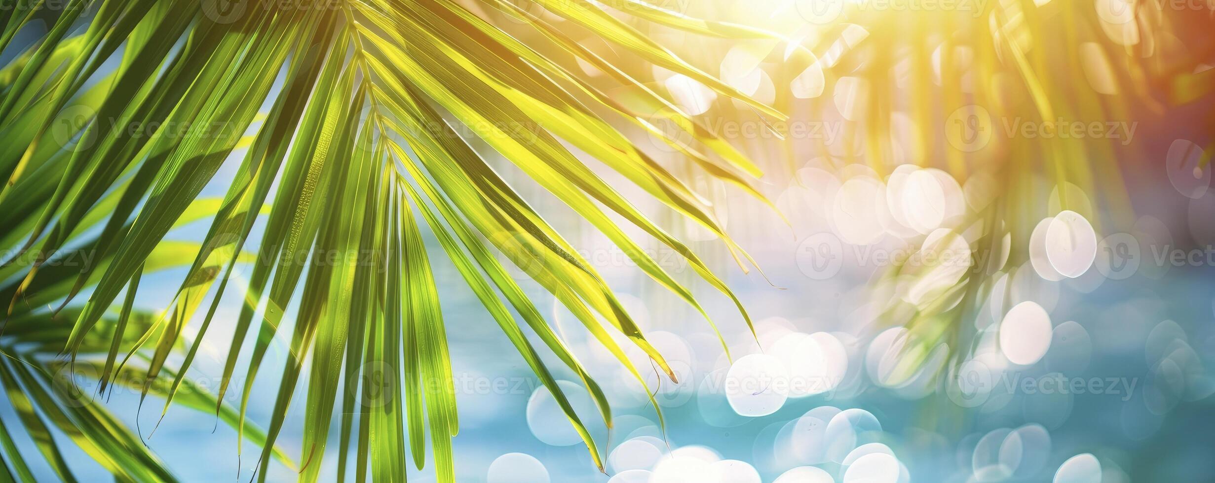 Beautifully blurred green palm leaf on a tropical beach with an abstract background of sun light waves. photo