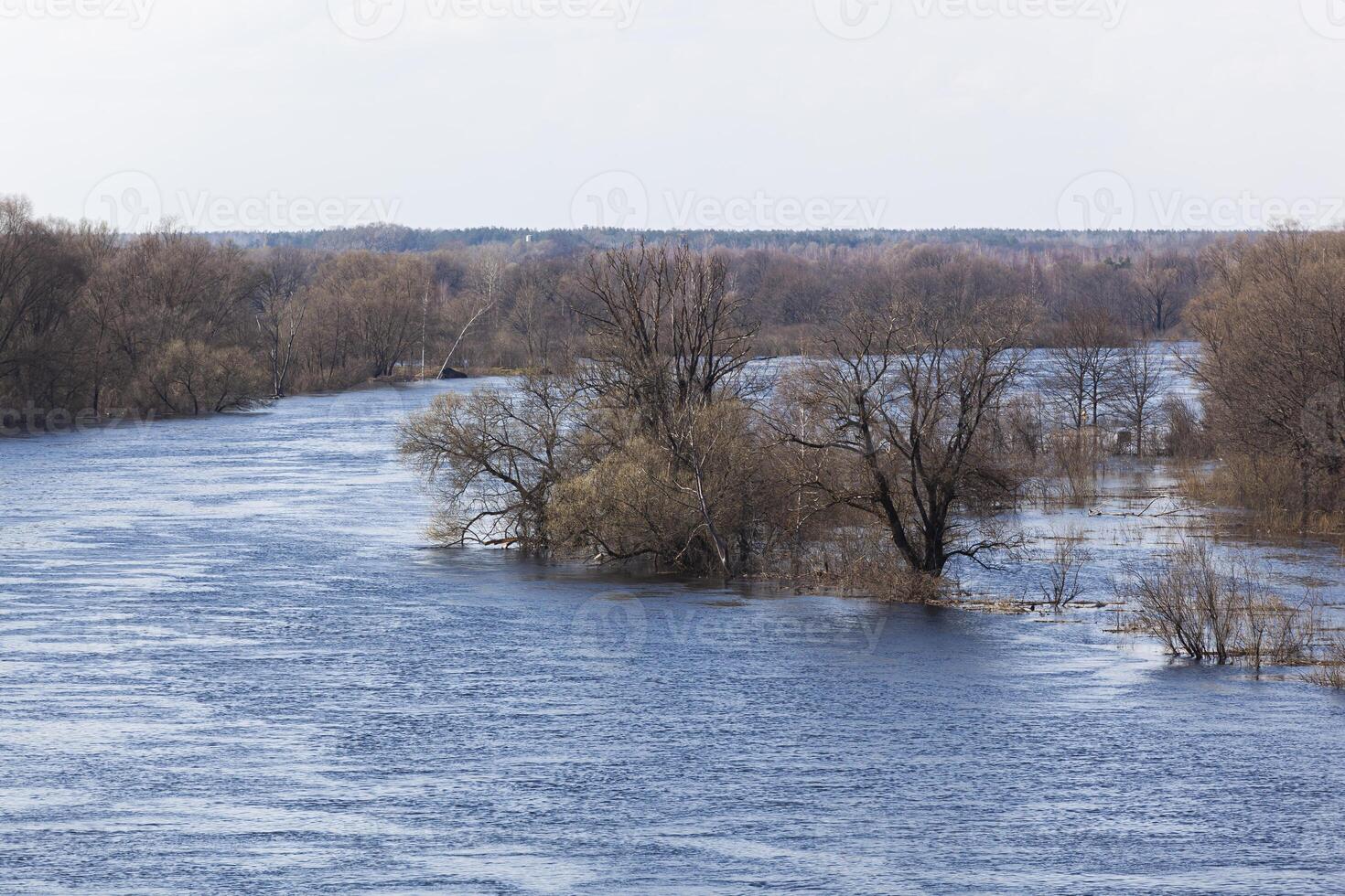 The spring river turns to the right. Bare trees stand in blue water against a blue sky. View from above. For text. Background. For postcard and banner. photo