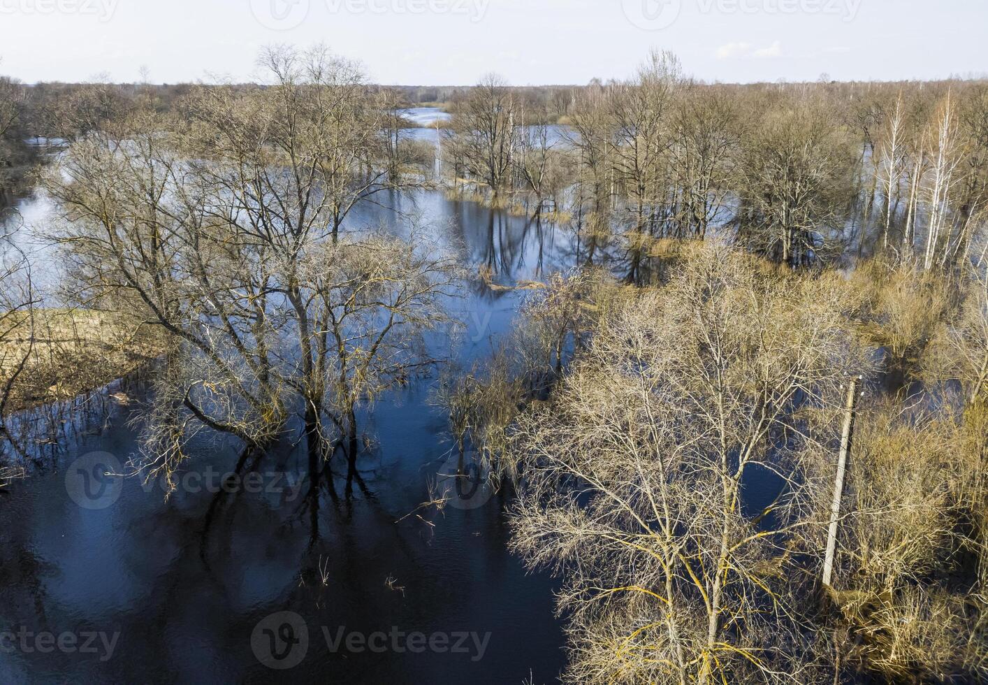 Bare trees standing in blue water against the sky in fall. View from above. Texture. Background. Photo in high quality.
