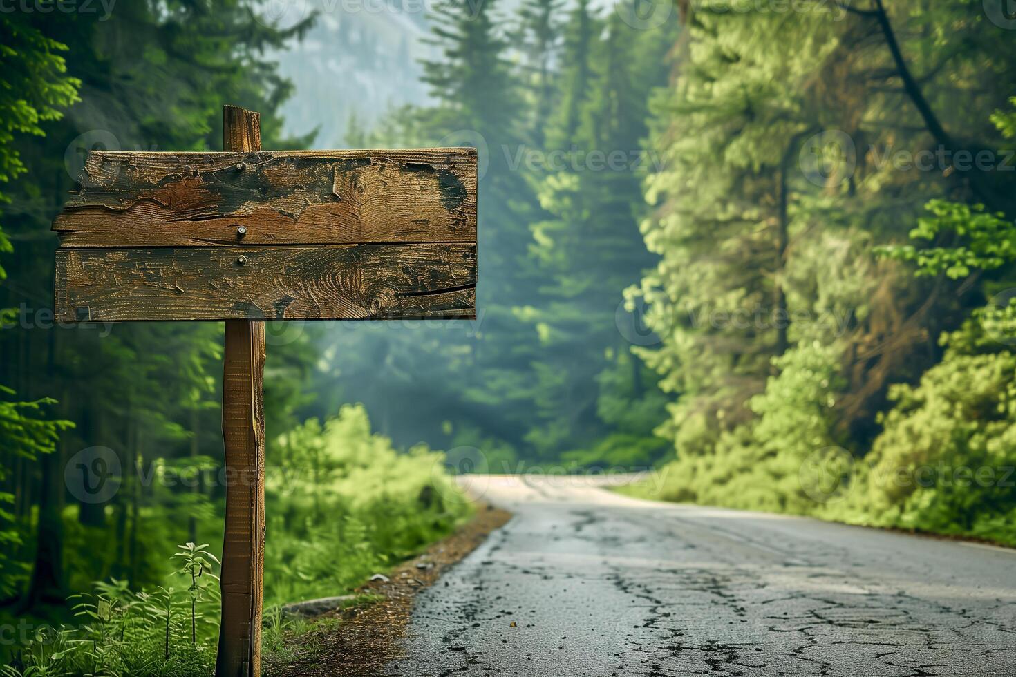 Empty wood road sign near the forest road, copy space photo