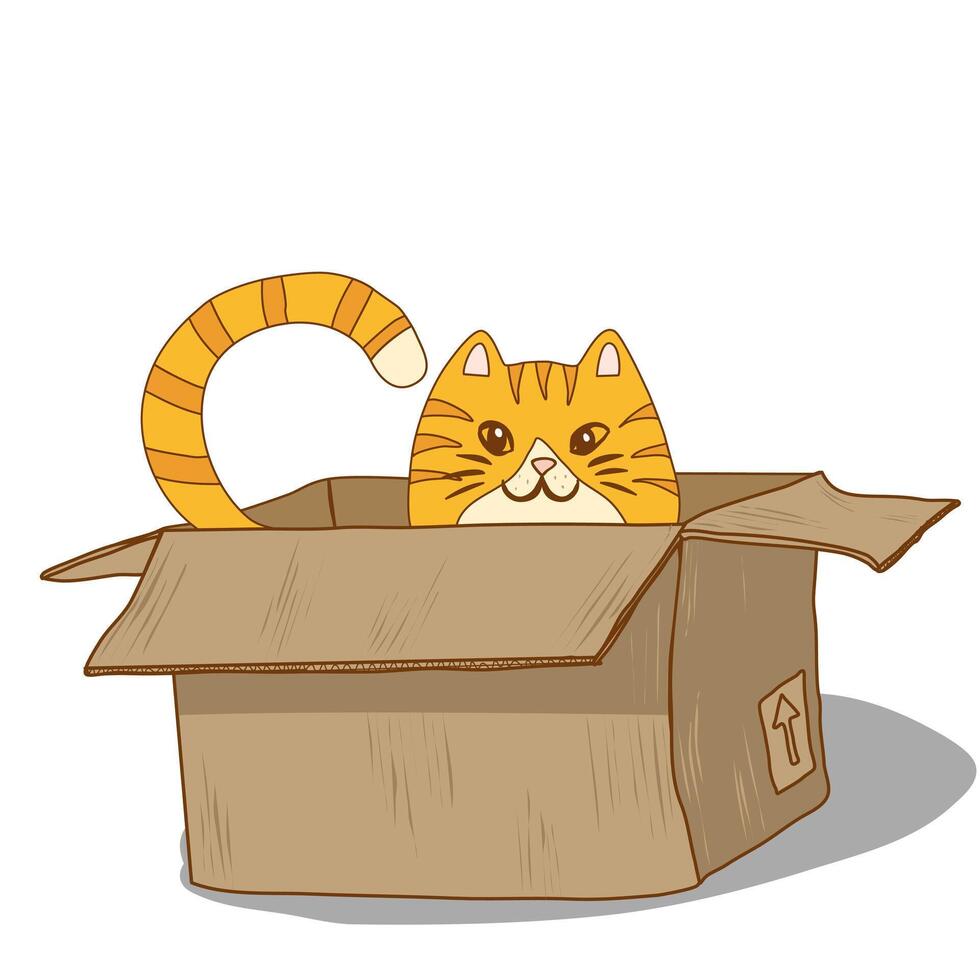 Ginger tabby cat sitting in a box. Tail and head peeking out of the box vector