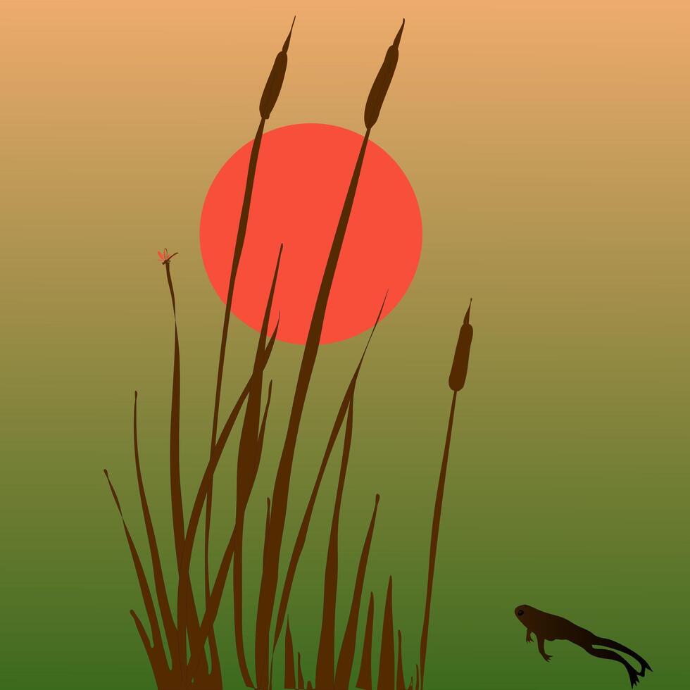 Background of simple nature elements sun reed frog vector