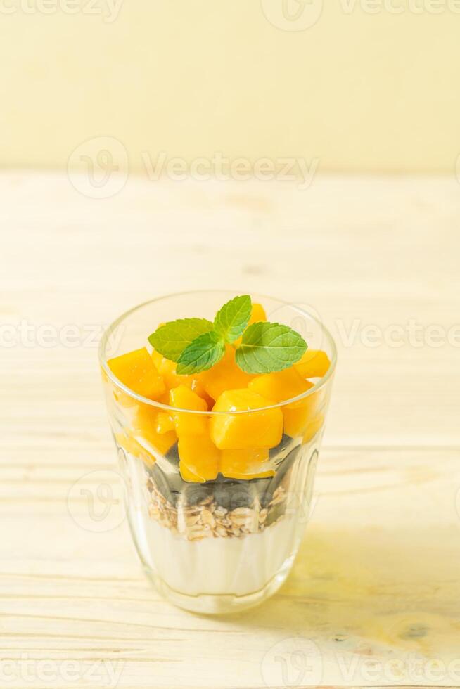 homemade mango and blueberry with yogurt and granola photo