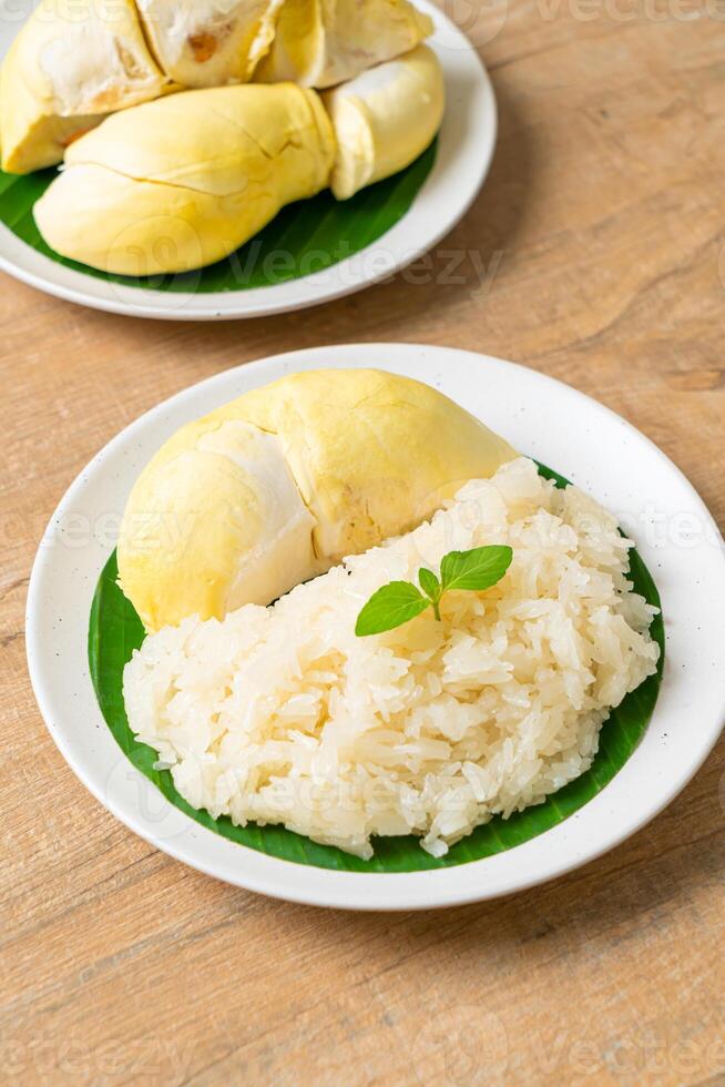 Durian sticky rice on plate photo