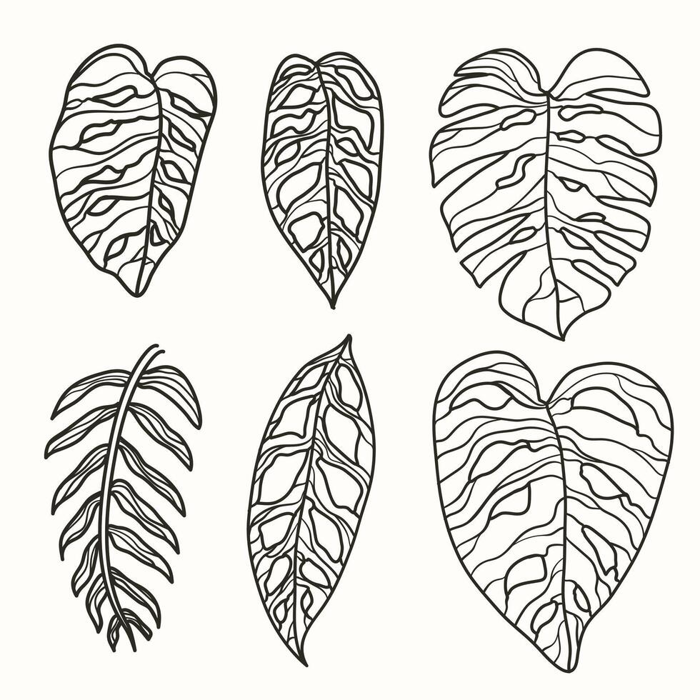 Monstera leaves in line art, exotic botanical foliage suitable for wallpaper illustrations, prints and invitations. vector