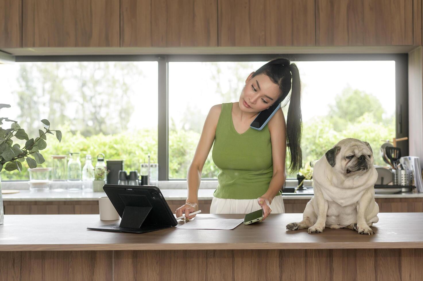 Young asian woman working with tablet and enjoying with her dog in the kitchen at home photo