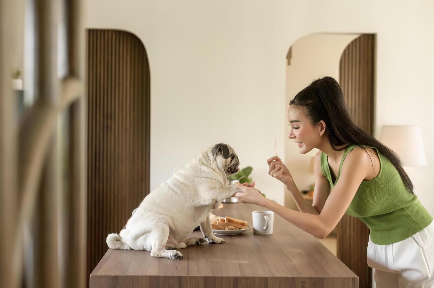 asiático mujer preparando café y brindis un pan para desayuno disfrutar con perro a el cocina mesa en el Mañana foto