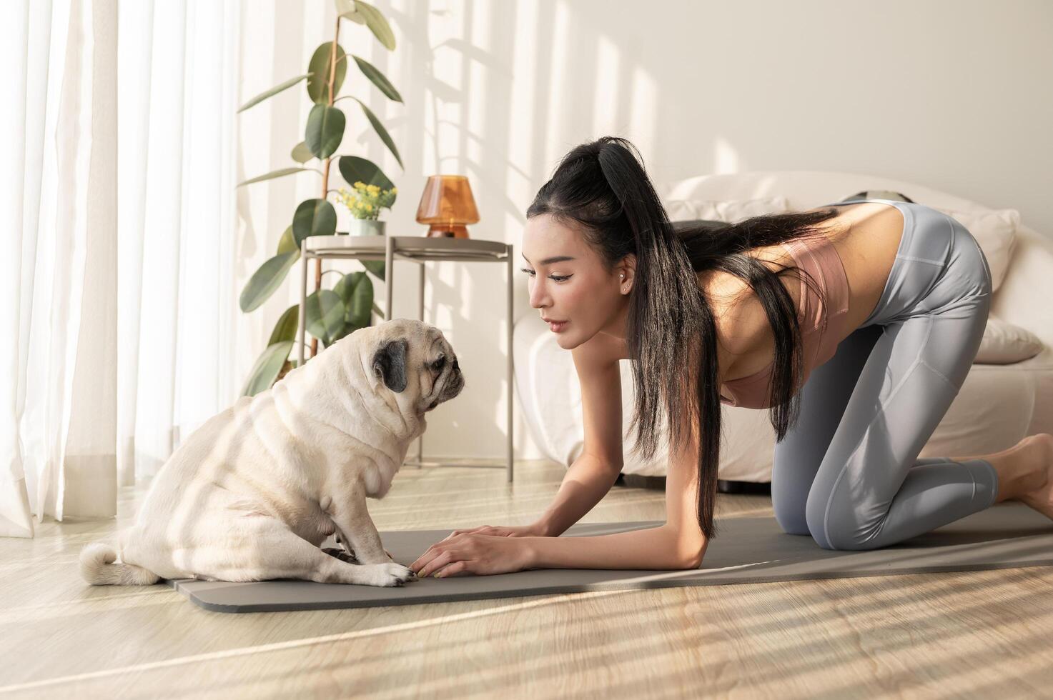 Asian woman in sportswear exercising and doing yoga with cute dog in living room at home, healthy lifestyle, Mental health concept. photo
