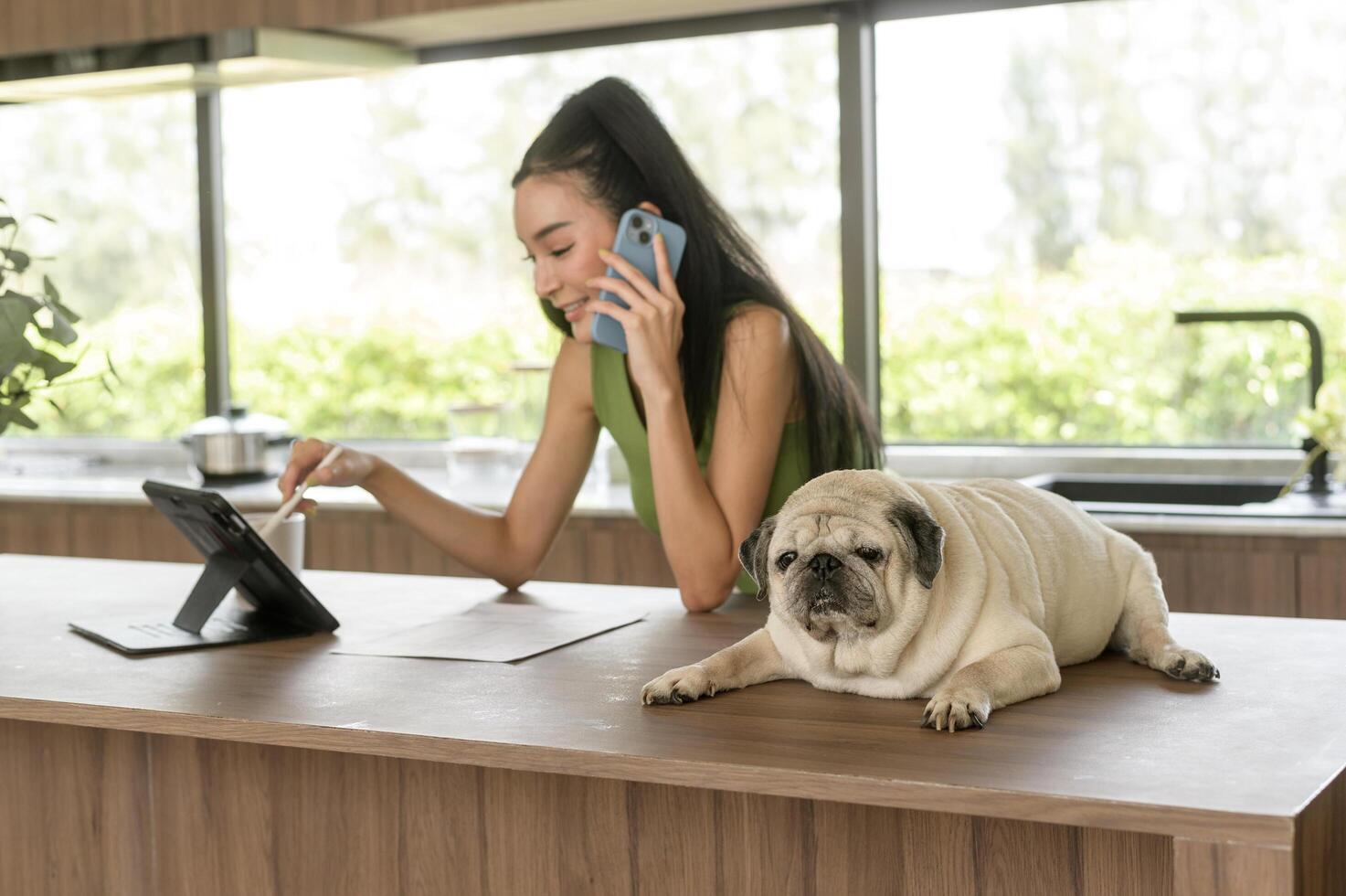 joven asiático mujer trabajando con tableta y disfrutando con su perro en el cocina a hogar foto