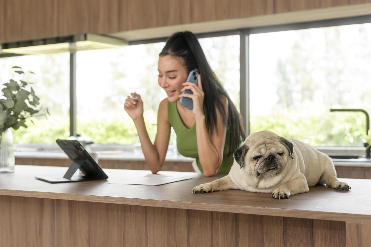 Young asian woman working with tablet and enjoying with her dog in the kitchen at home photo