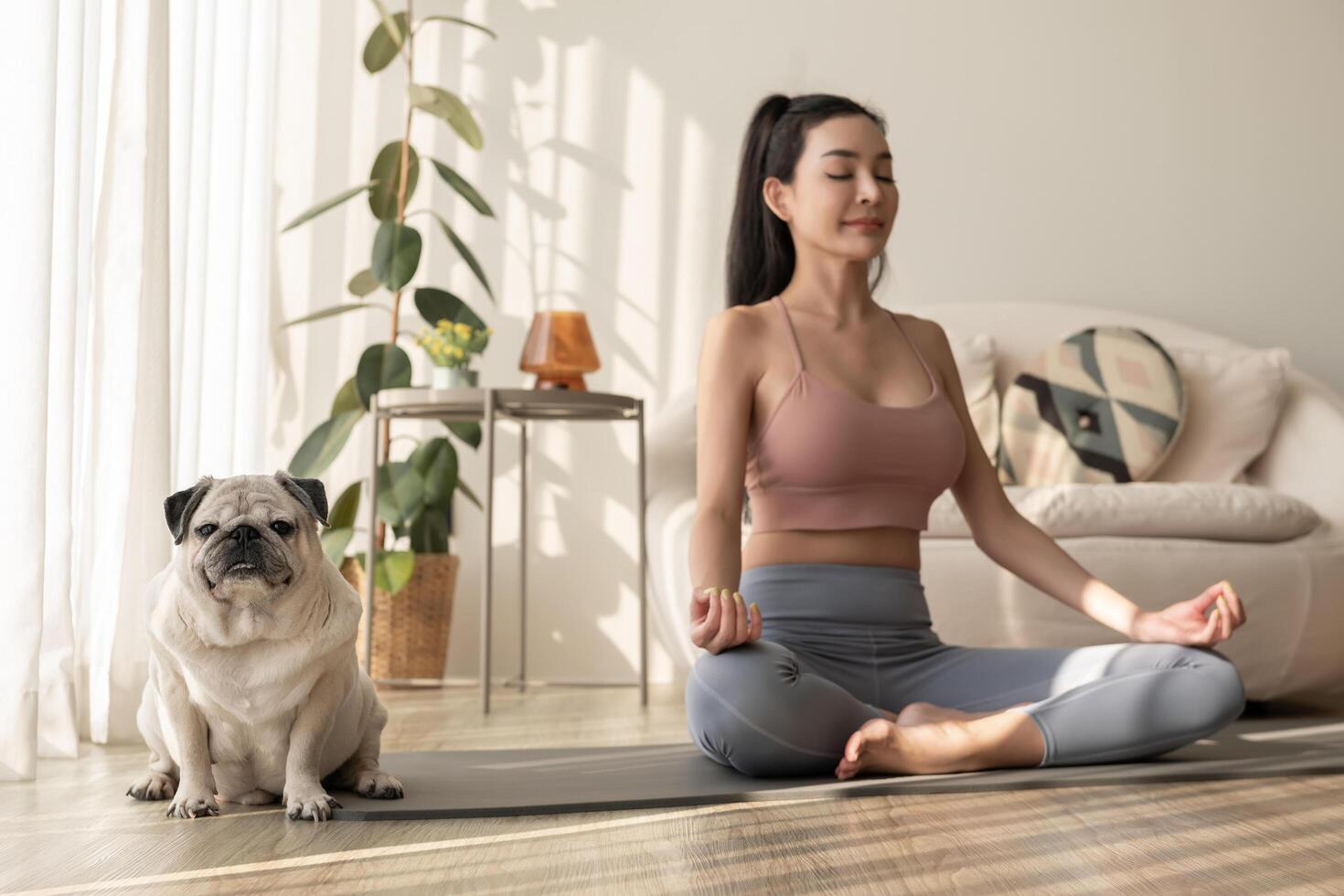 asiático mujer en ropa de deporte hacer ejercicio y haciendo yoga con linda perro en vivo habitación a hogar, sano estilo de vida, mental salud concepto. foto