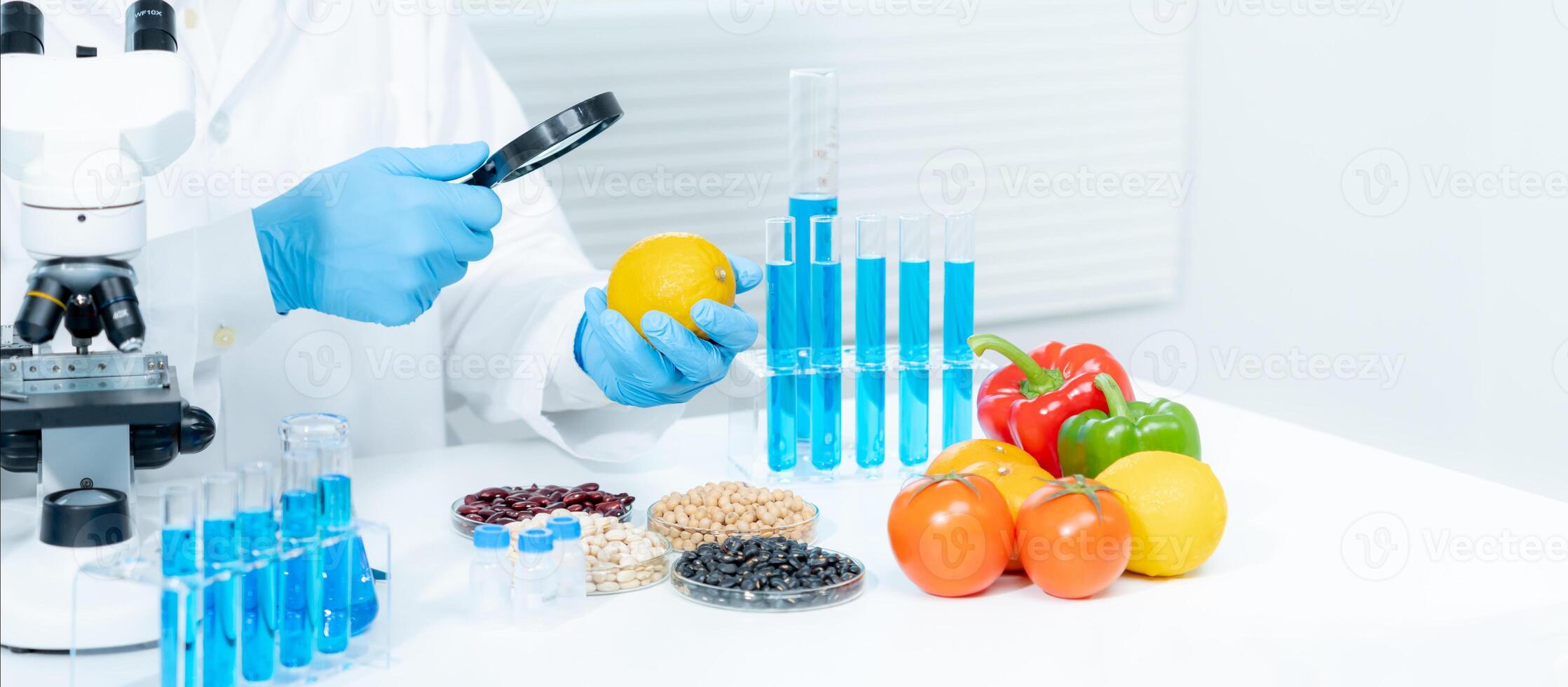 Scientist check chemical food residues in laboratory. Control experts inspect quality of fruits, vegetables. lab, hazards, ROHs, find prohibited substances, contaminate, Microscope, Microbiologist photo
