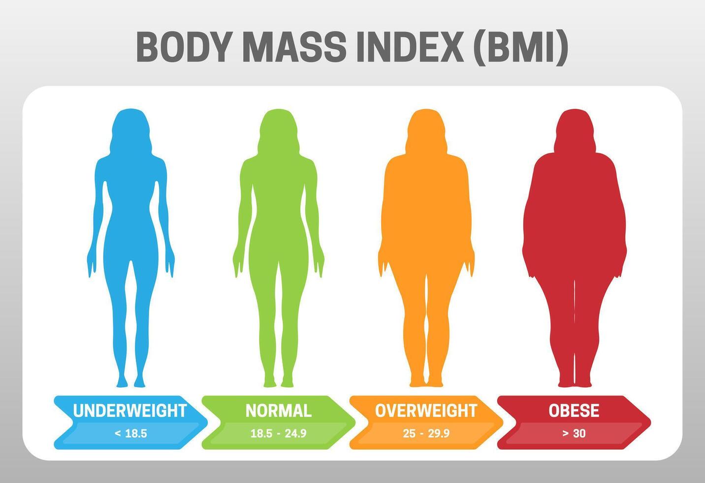 BMI Body Mass Index Illustration with Woman Silhouette from Underweight to Obese. Obesity degrees with different weight. vector