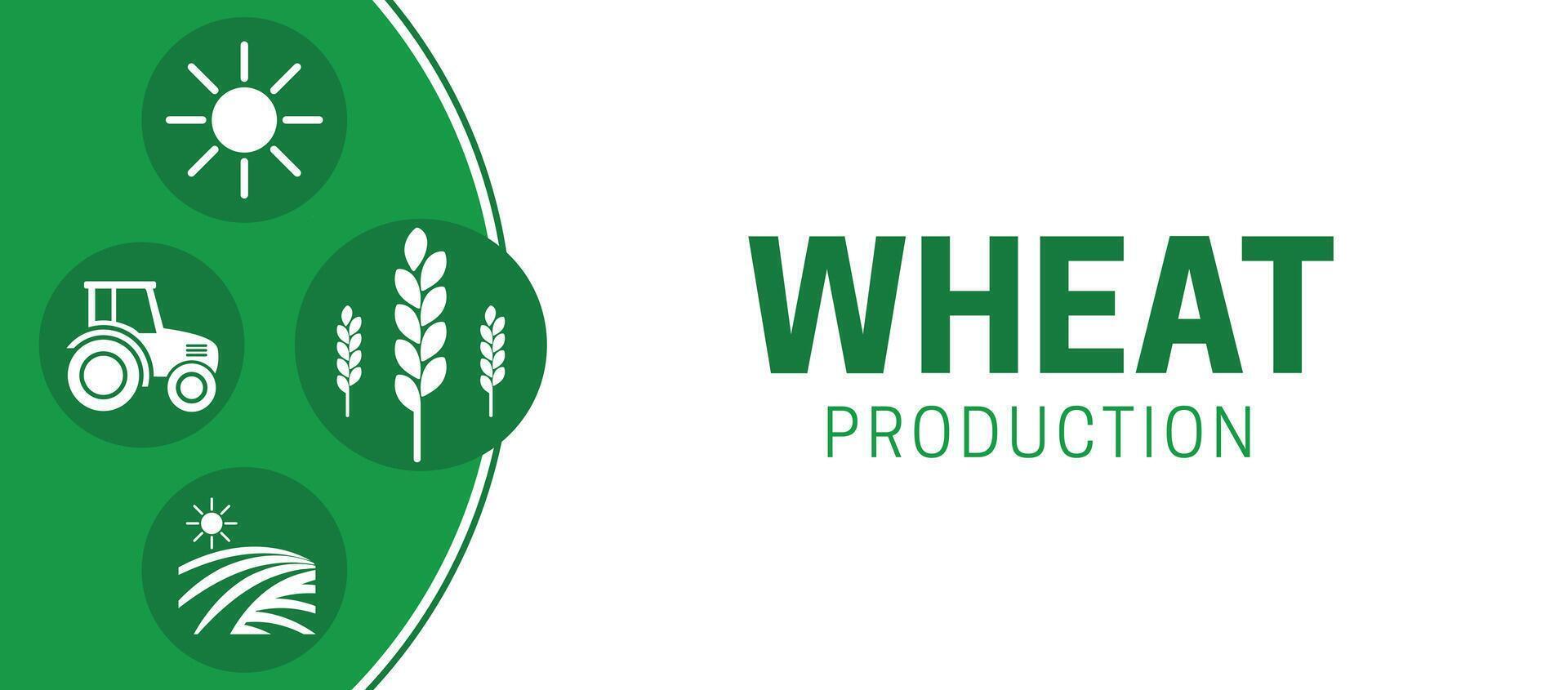 blanco trigo producción bandera ilustración antecedentes vector