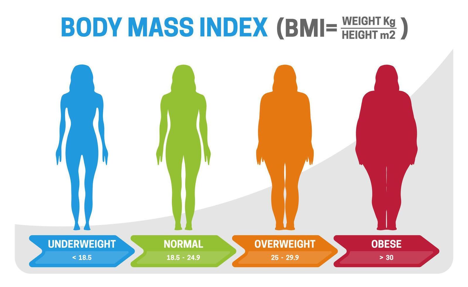 bmi cuerpo masa índice ilustración con mujer silueta desde bajo peso a obeso. obesidad grados con diferente peso. vector