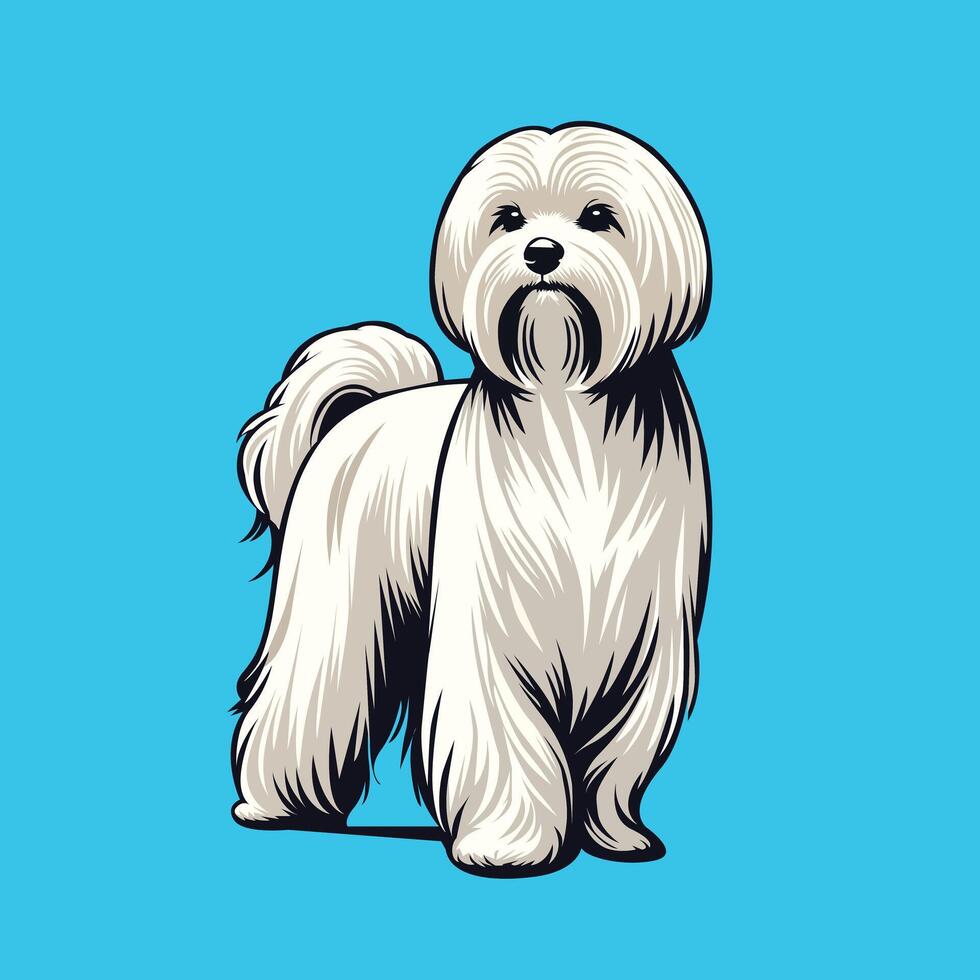 blanco maltés perro en pie ilustración vector