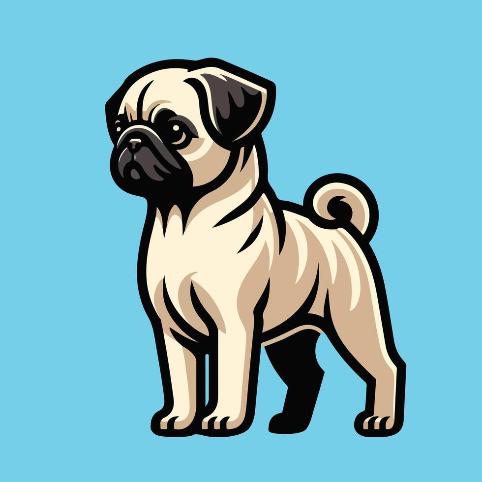 Angry Pug dog is standing illustration vector