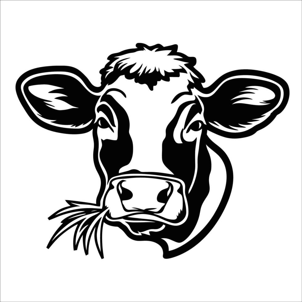 negro y blanco vaca masticando algunos césped vector