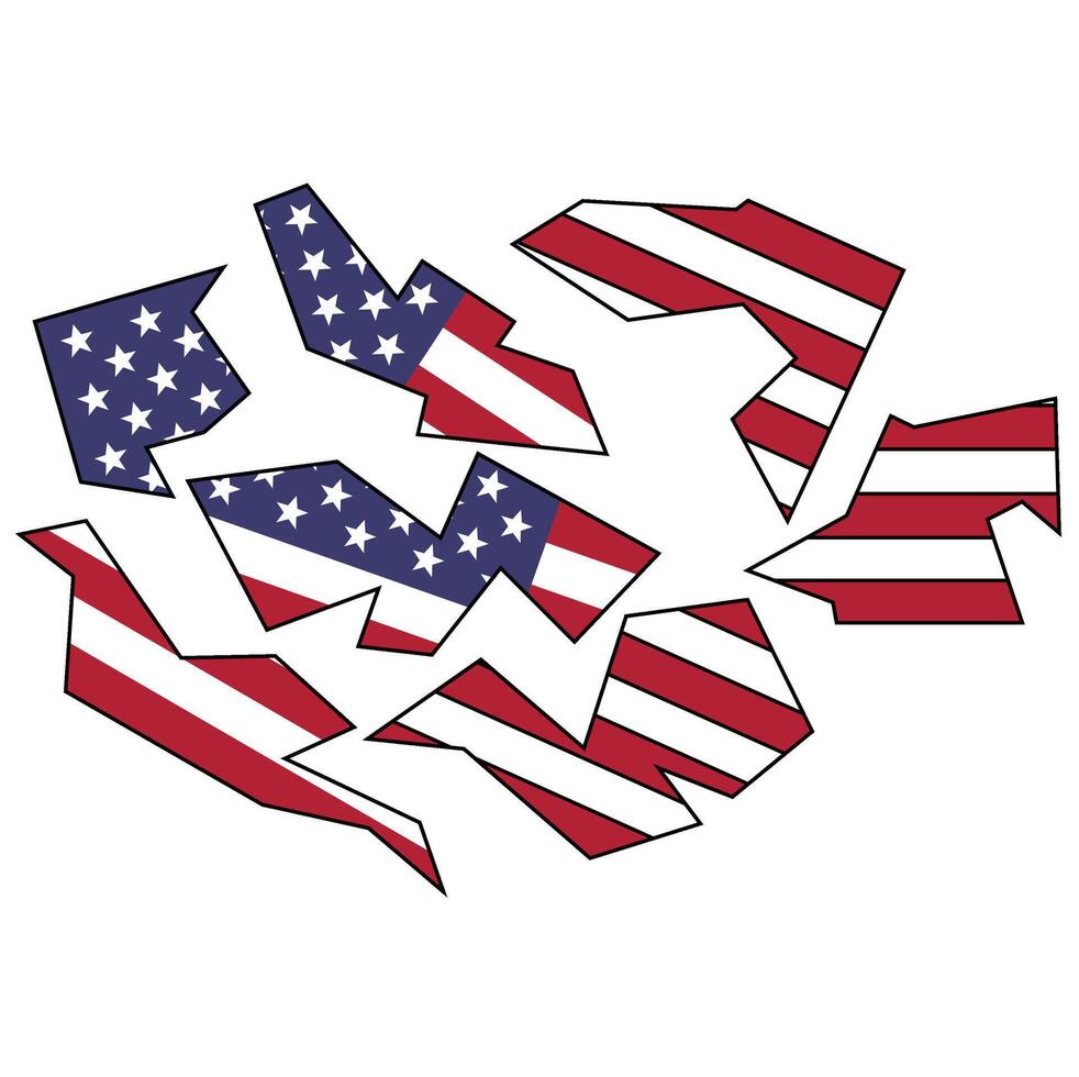 American Flag Design vector