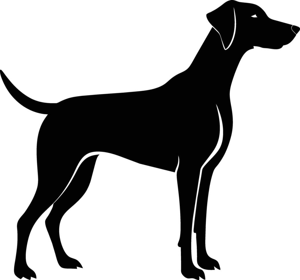 Black and white silhouette of a Hunting dog standing vector