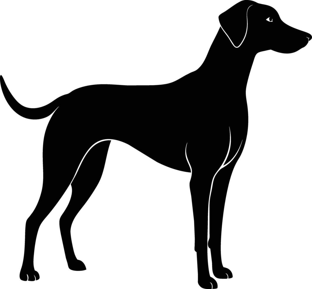 Black and white silhouette of a Hunting dog standing vector