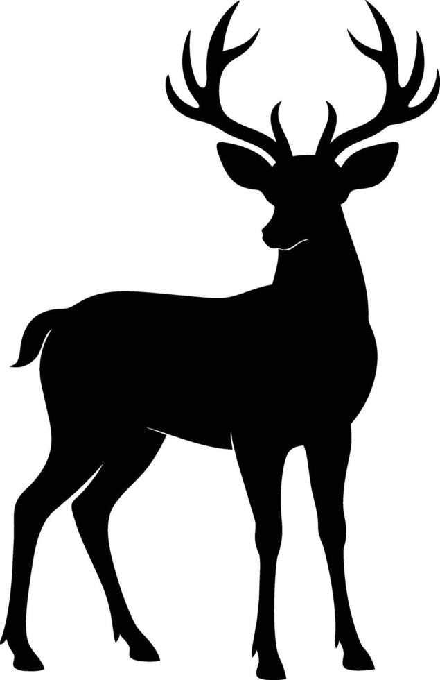 A black silhouette of a whitetail deer standing on a white background vector