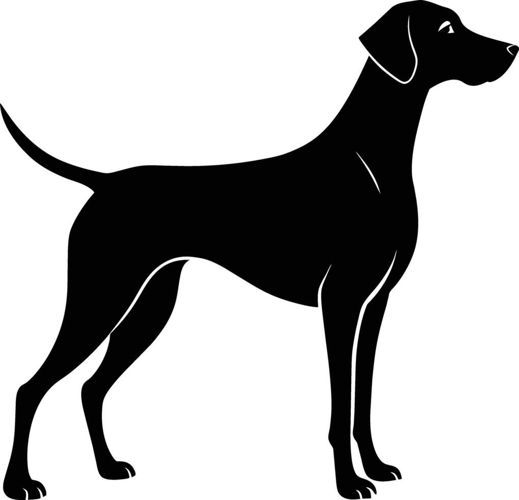 Black and white silhouette of a Hunting dog standing vector