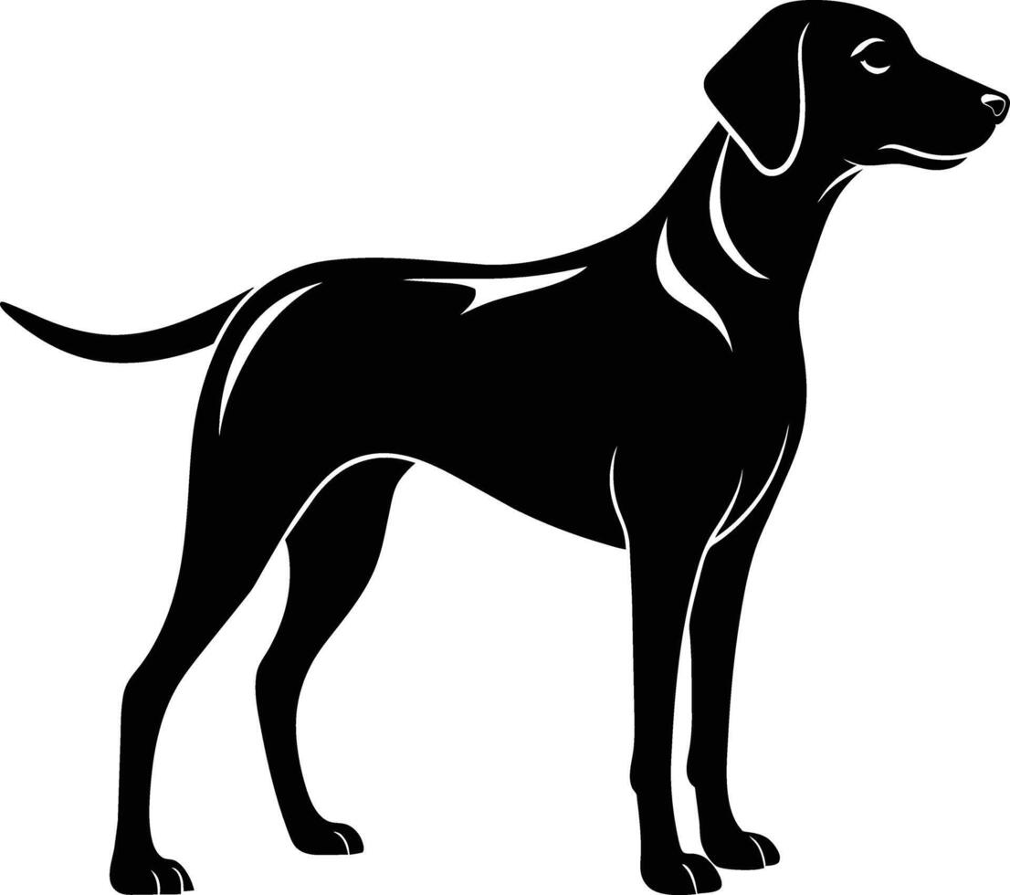 Black and white silhouette of a Hunting dog standing vector