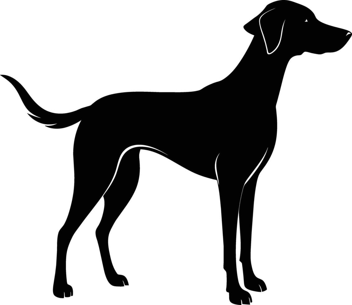 Black and white silhouette of a Hunting dog standing vector