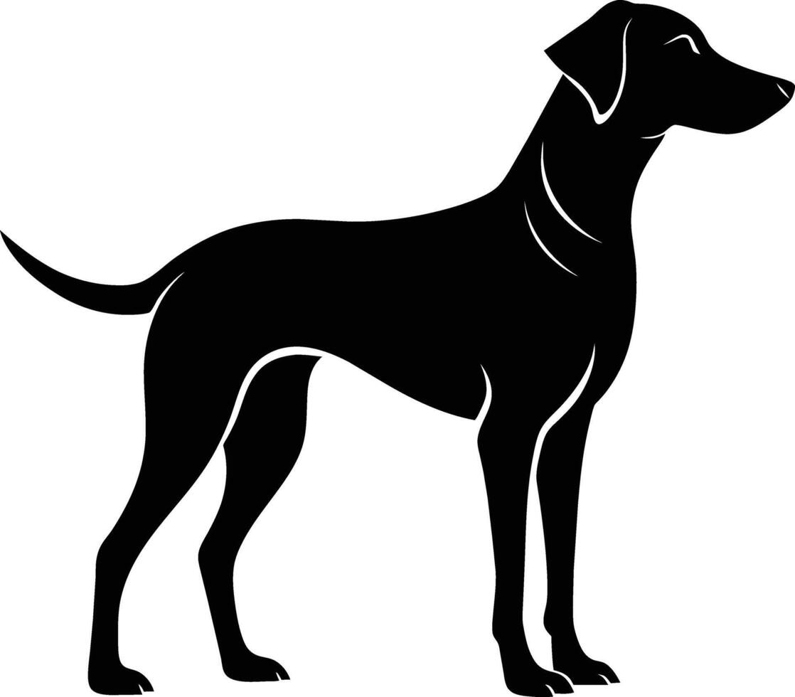 Black and white silhouette of a Hunting dog standing vector