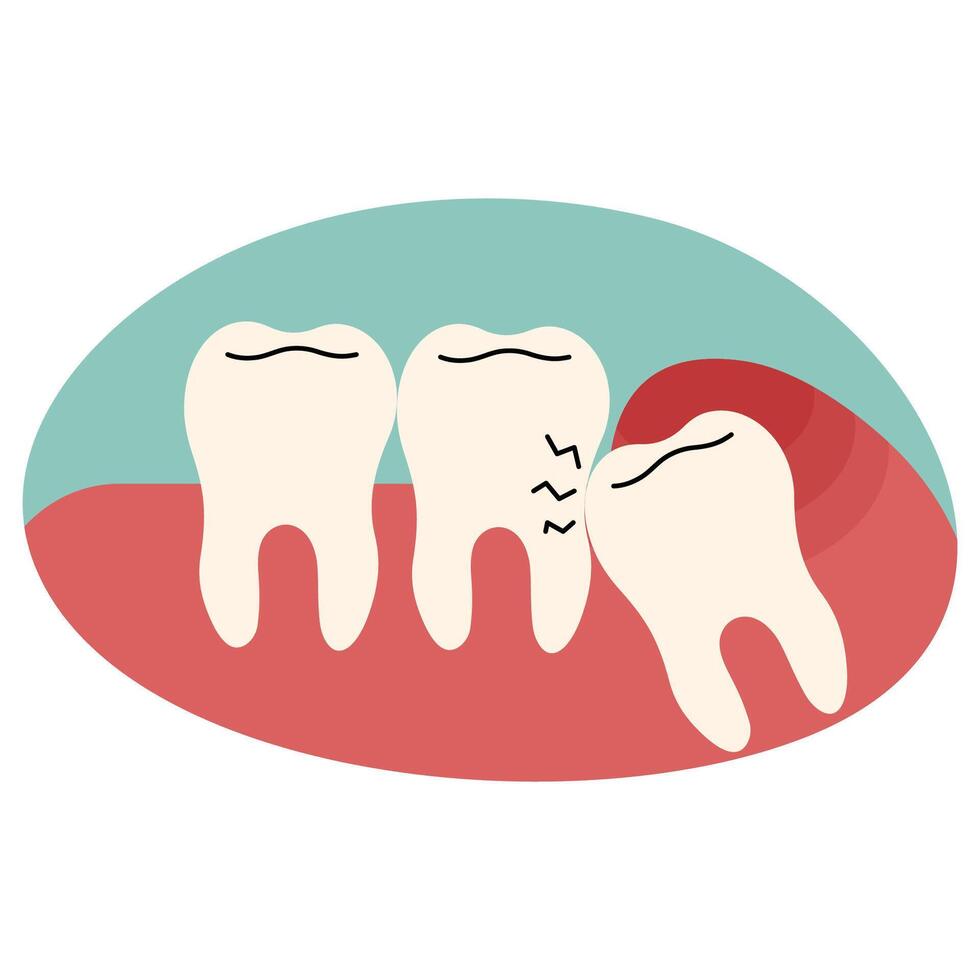 Wisdom teeth single 5 cute on a white background, illustration. vector