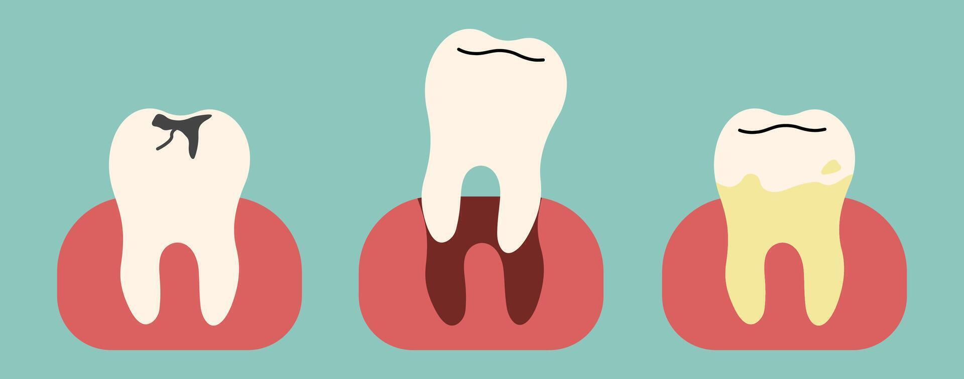 Teeth 7 cute, illustration. vector