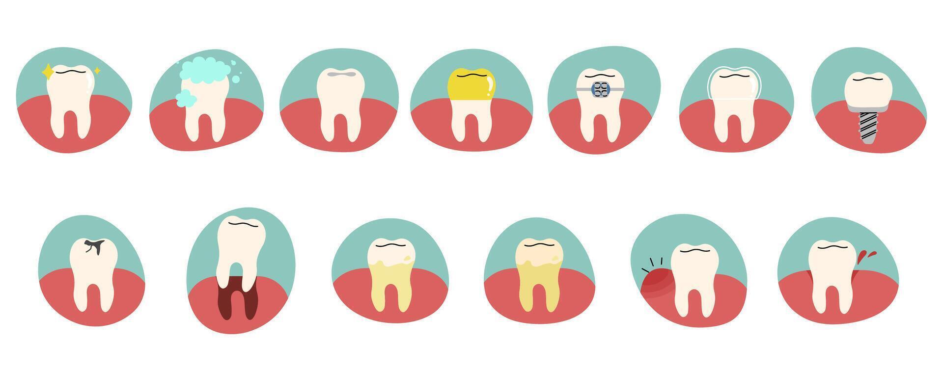 Teeth collection 4 cute on a white background, illustration. vector