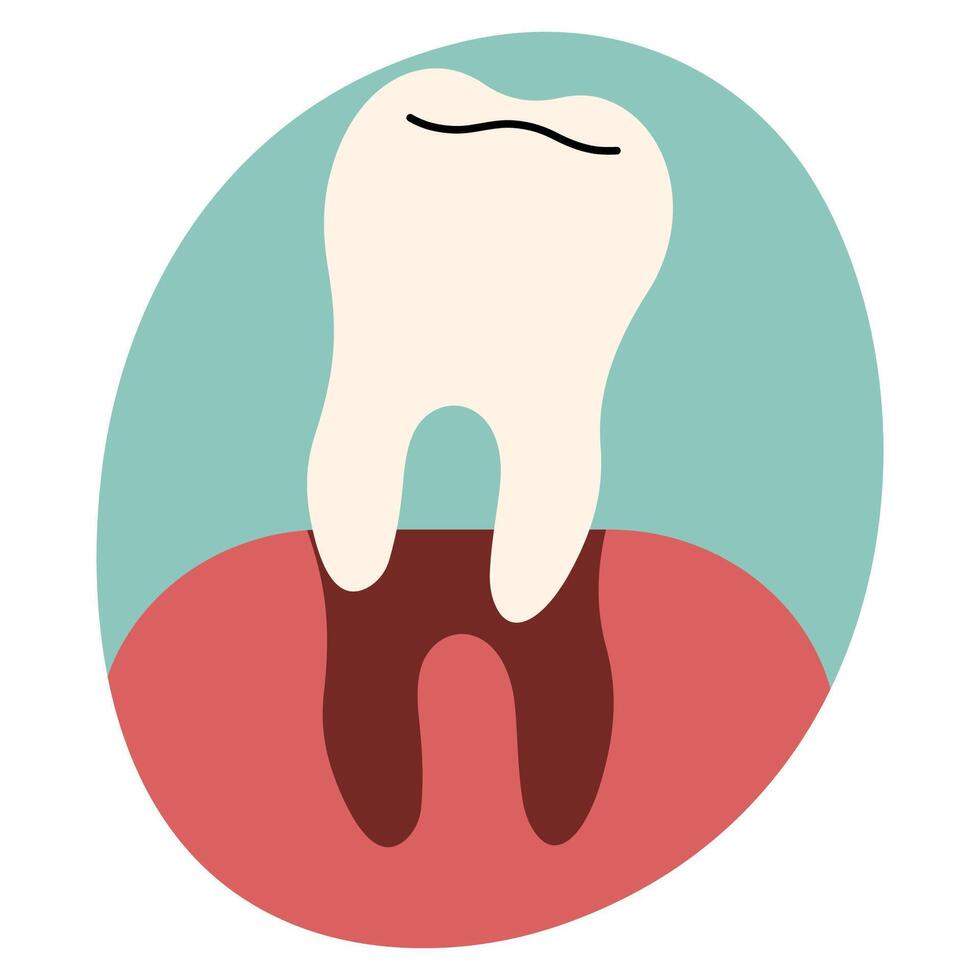 Teeth single cute on a white background, illustration. vector