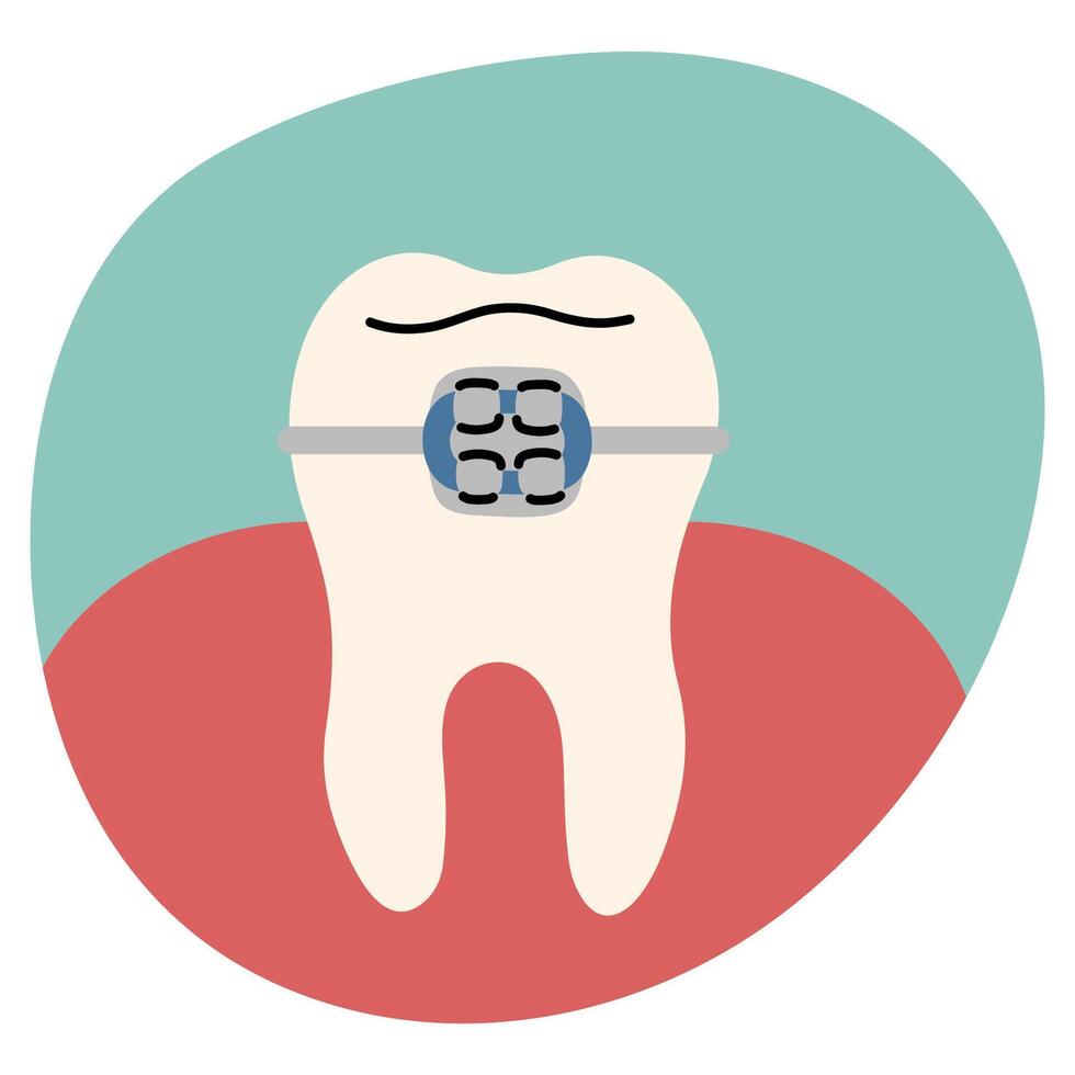 Teeth single on a white background, illustration. vector