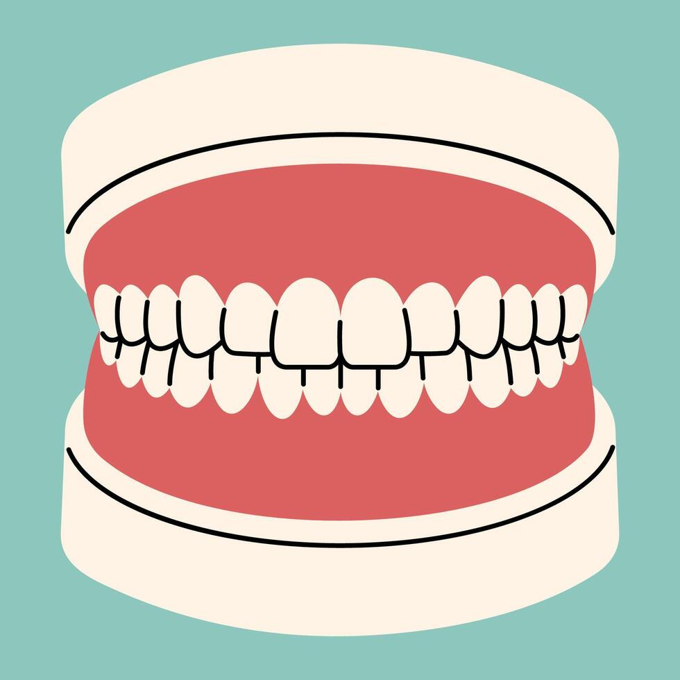 Model Teeth single cute on a blue-green background, illustration. vector