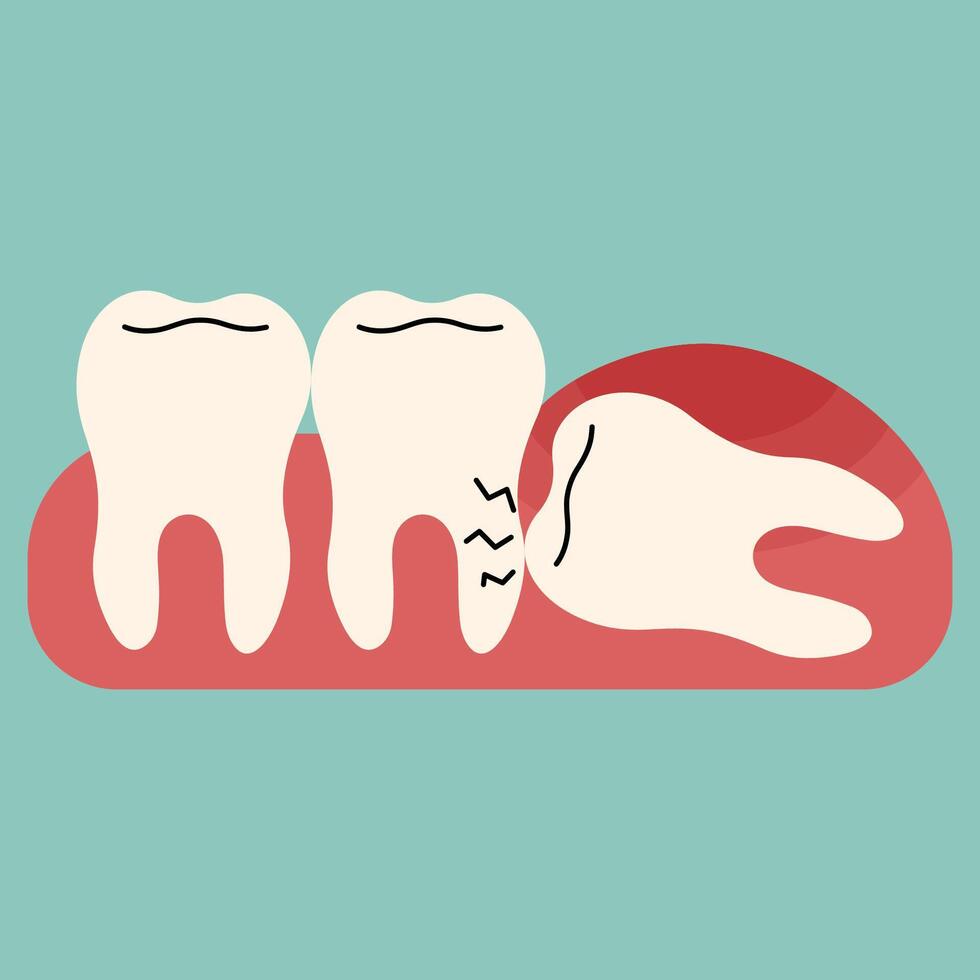 Wisdom teeth single 3 cute on a blue-green background, illustration. vector