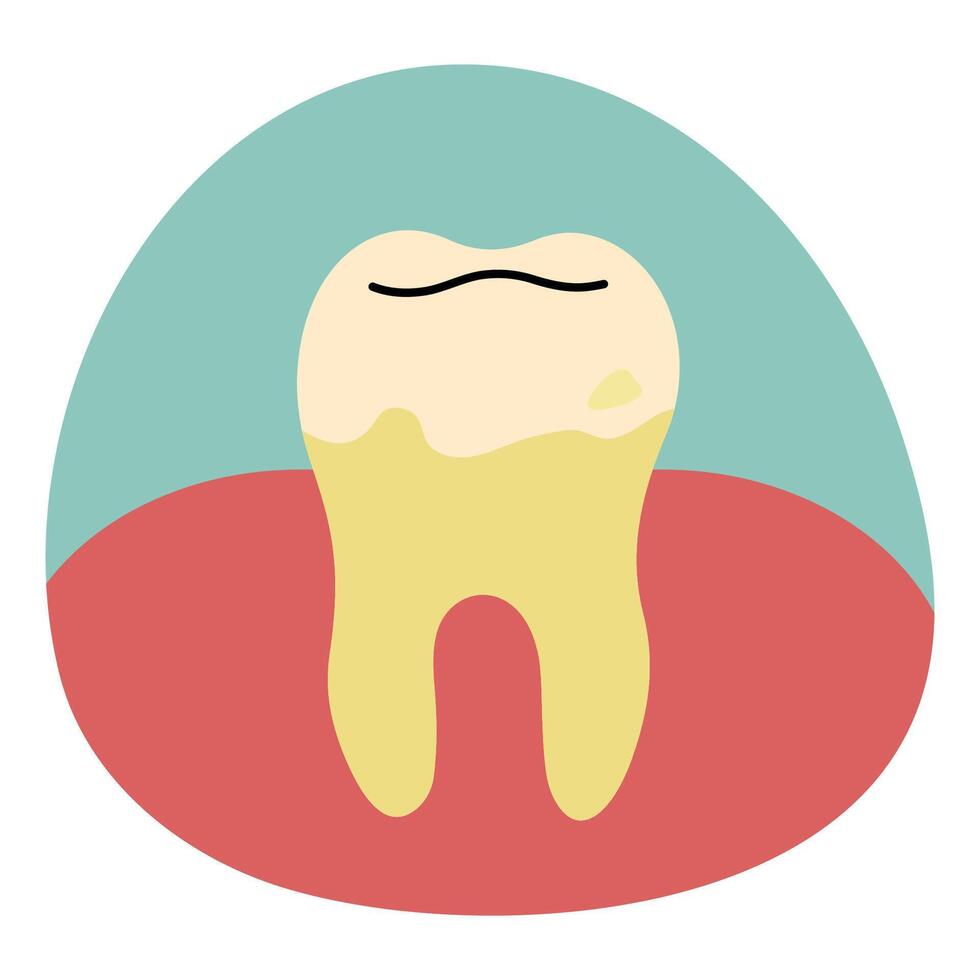 Teeth single 24 cute on a white background, illustration. vector