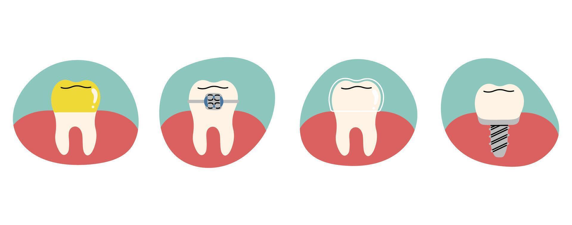 Teeth 10 cute, illustration. vector
