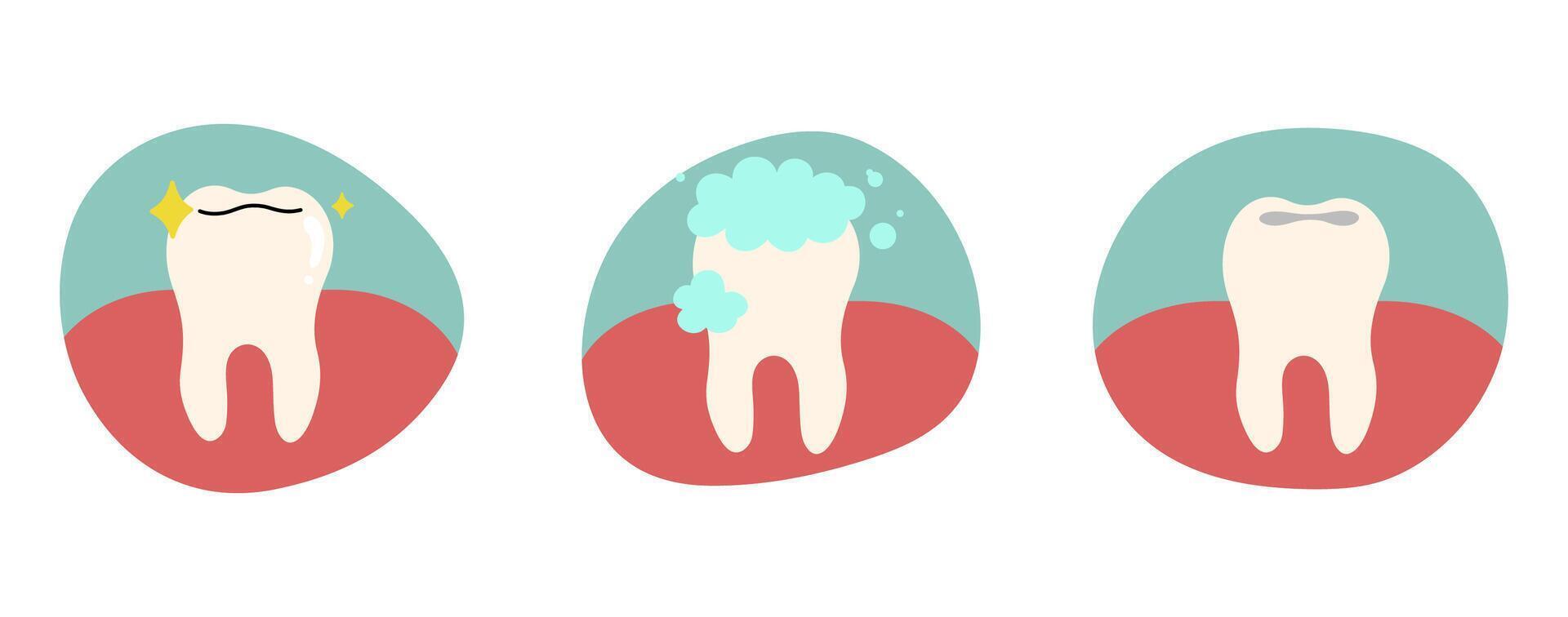 Teeth cute on a white background, illustration. vector
