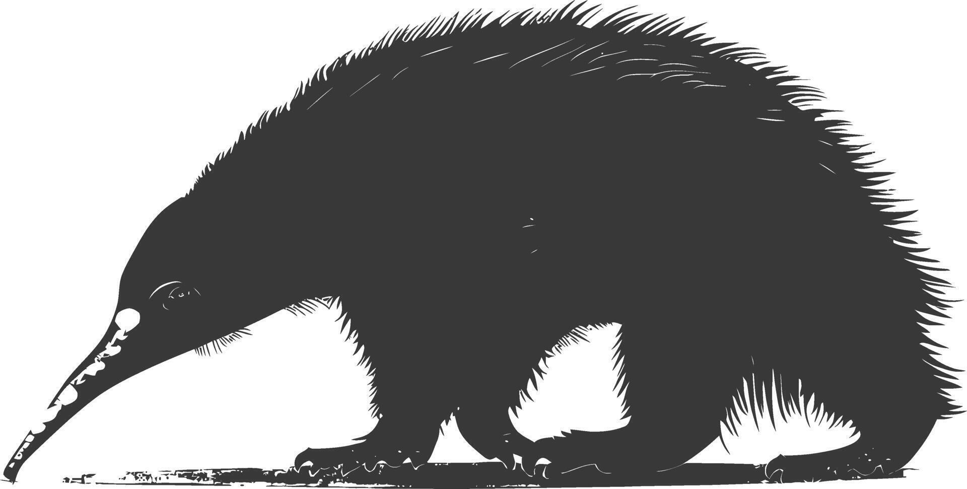 Silhouette Anteater animal black color only full body vector