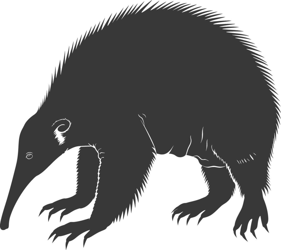 Silhouette Anteater animal black color only full body vector