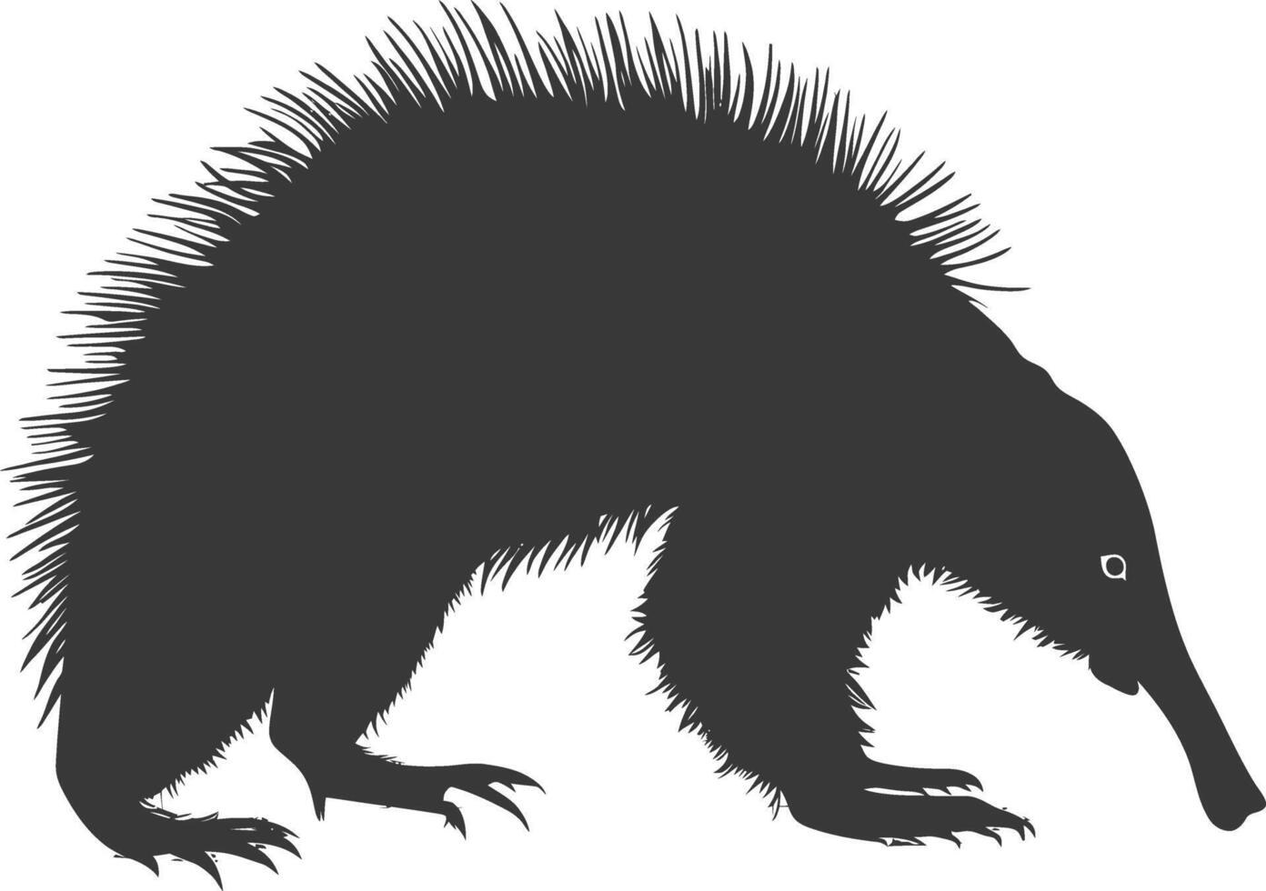 Silhouette Anteater animal black color only full body vector