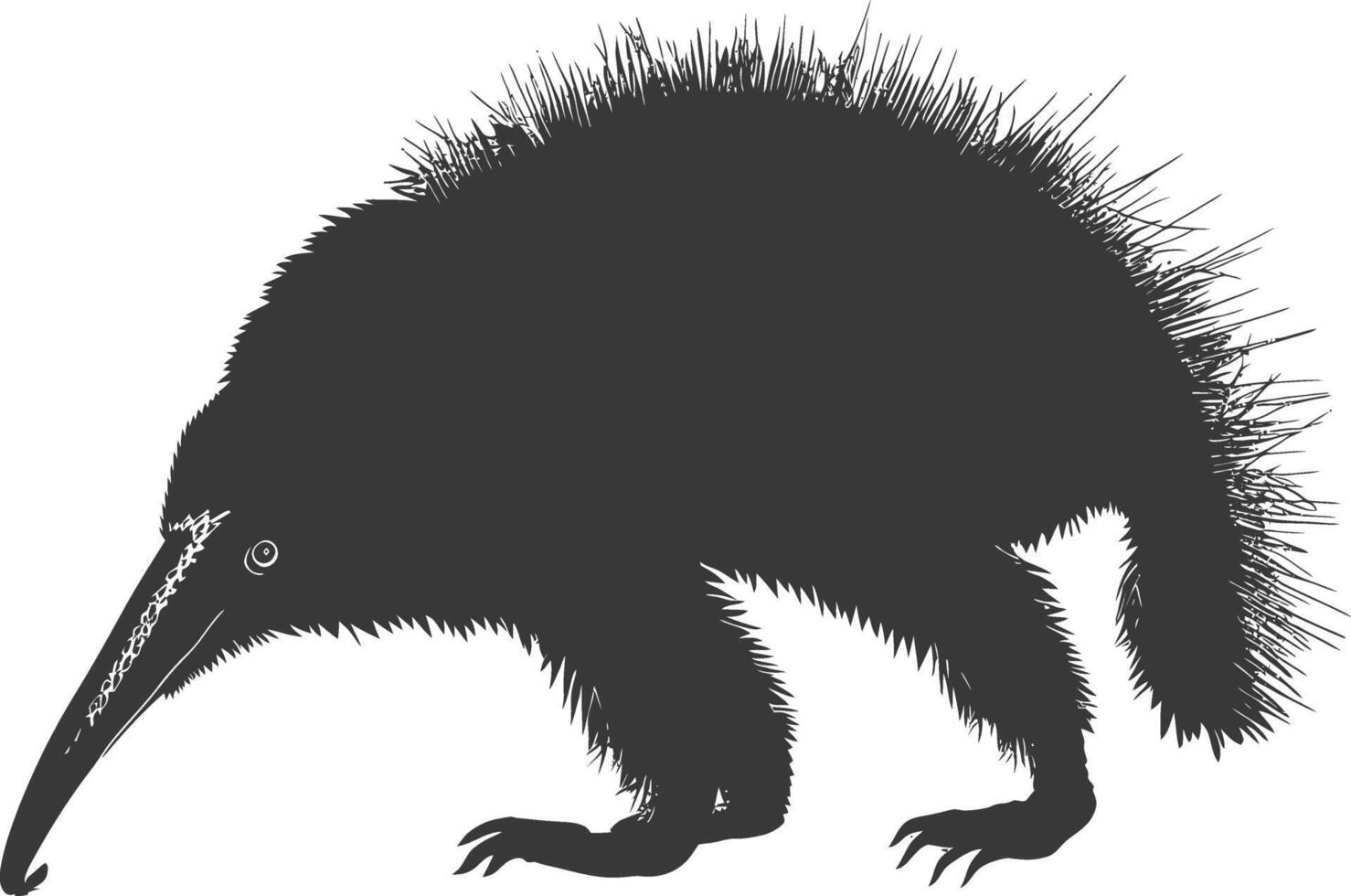 Silhouette Anteater animal black color only full body vector