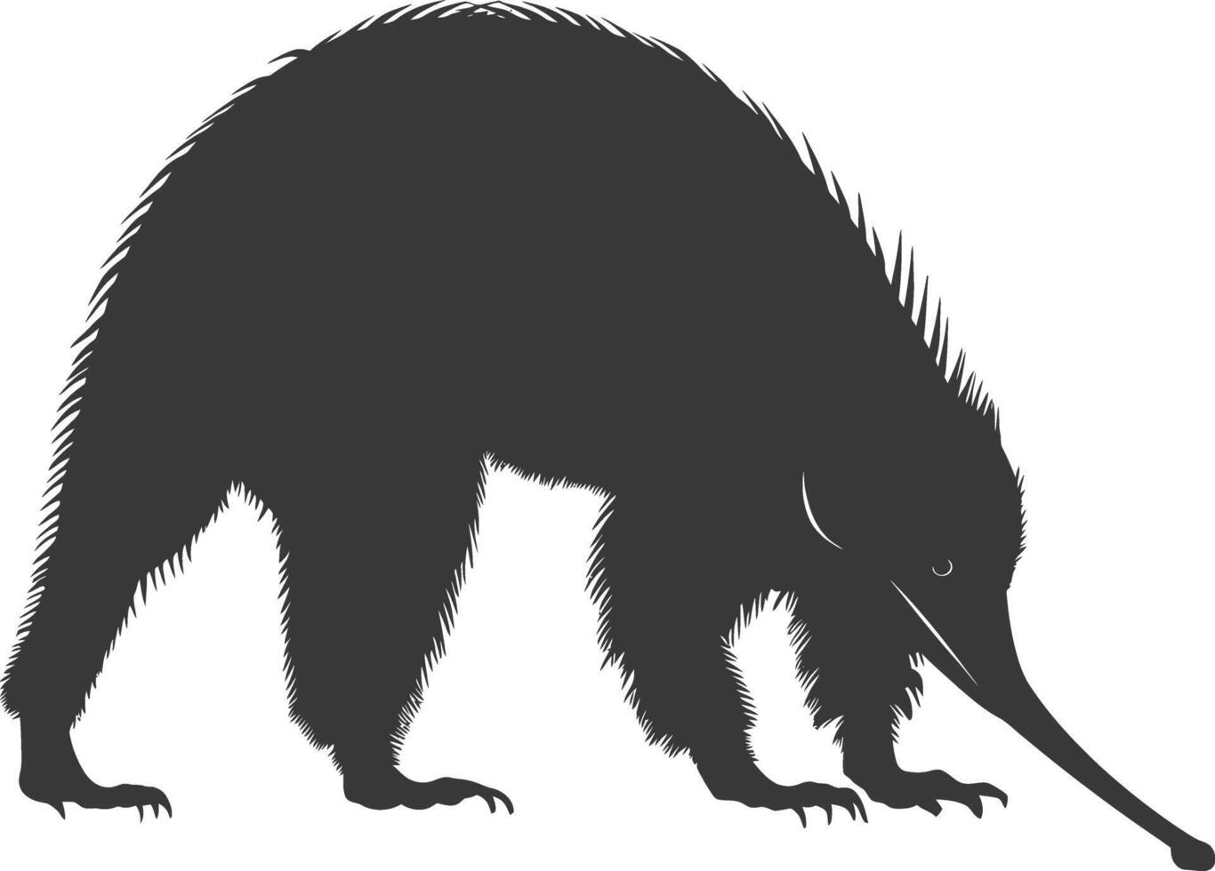 Silhouette Anteater animal black color only full body vector