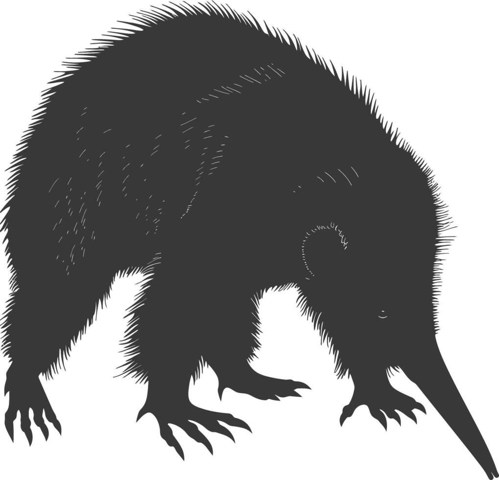 Silhouette Anteater animal black color only full body vector