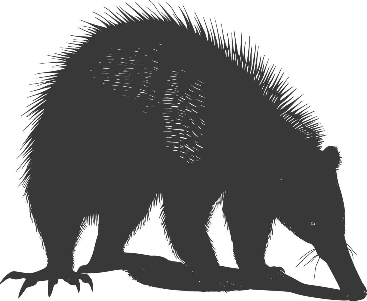 Silhouette Anteater animal black color only full body vector